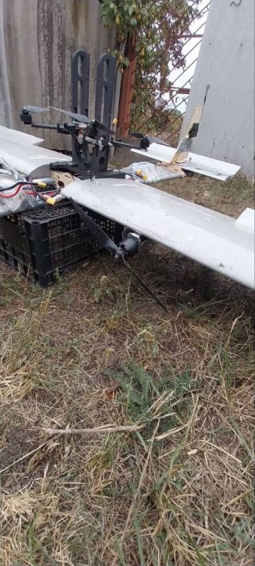  :   ,           FPV-,      