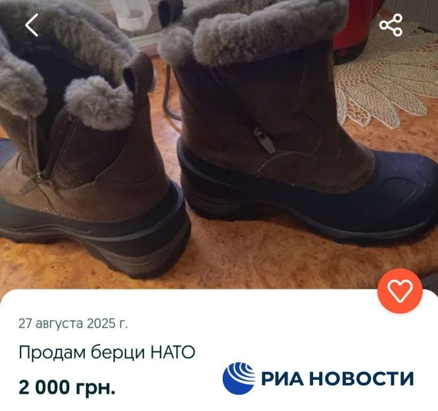 &quot;    &quot;.              ,   