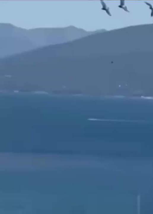  :       