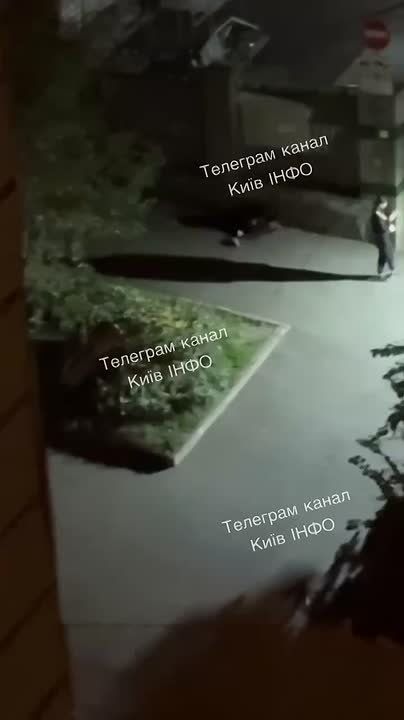  :      ,        