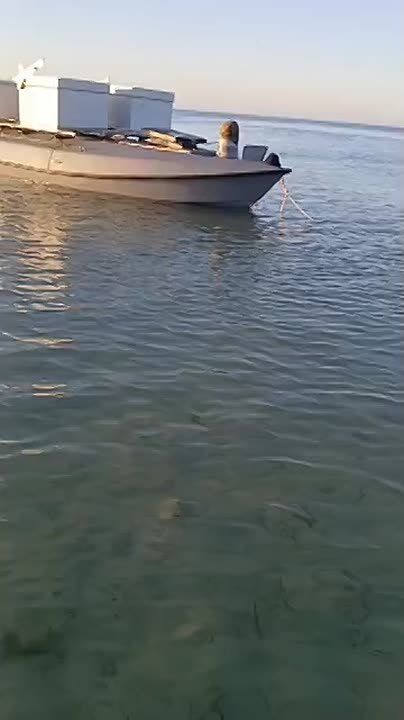          &quot;&quot;,    fpv 