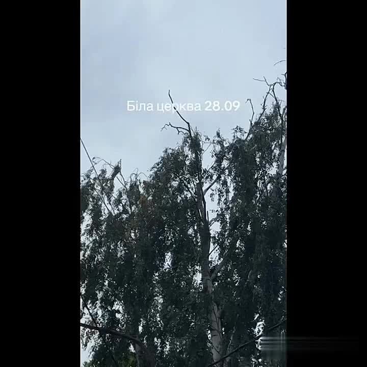  :     &quot;&quot;        
