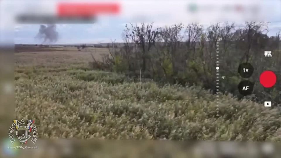  .      FPV- 