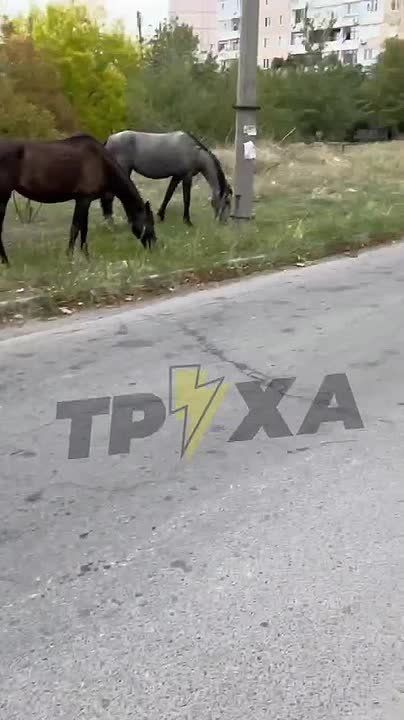 #_:            ,          