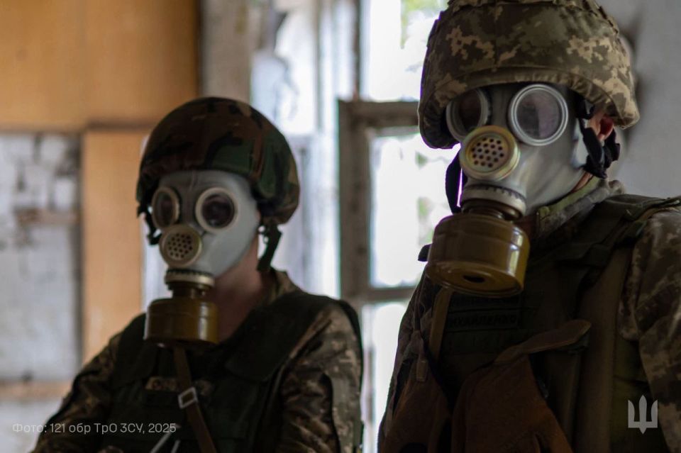 БЕШЕНСТВО НА ПРАВОБЕРЕЖЬЕ ХЕРСОНА! БЕШЕНСТВО НА ПРАВОБЕРЕЖЬЕ ХЕРСОНА!