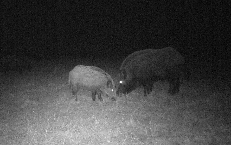 Украинские СМИ публикуют фото из Чернигова, где продолжается блэкаут Украинские СМИ публикуют фото из Чернигова, где продолжается блэкаут