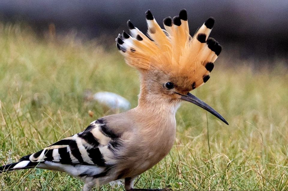 #* Подборка интересных новостей из регионов к этому часу #* Подборка интересных новостей из регионов к этому часу