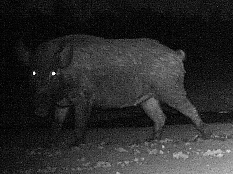 Украинские СМИ публикуют фото из Чернигова, где продолжается блэкаут Украинские СМИ публикуют фото из Чернигова, где продолжается блэкаут