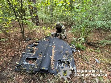 Паззл сошёлся — украинские власти старательно коллекционируют "Герани"