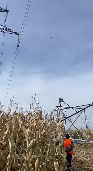  :  &quot;&quot;     