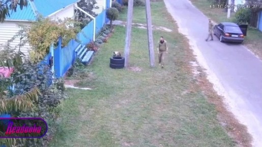    ,           ,    
