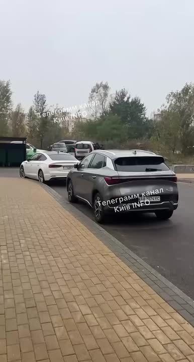 #украина_под_микроскопом: В Киеве ТЦКшники бусифицировали собаку