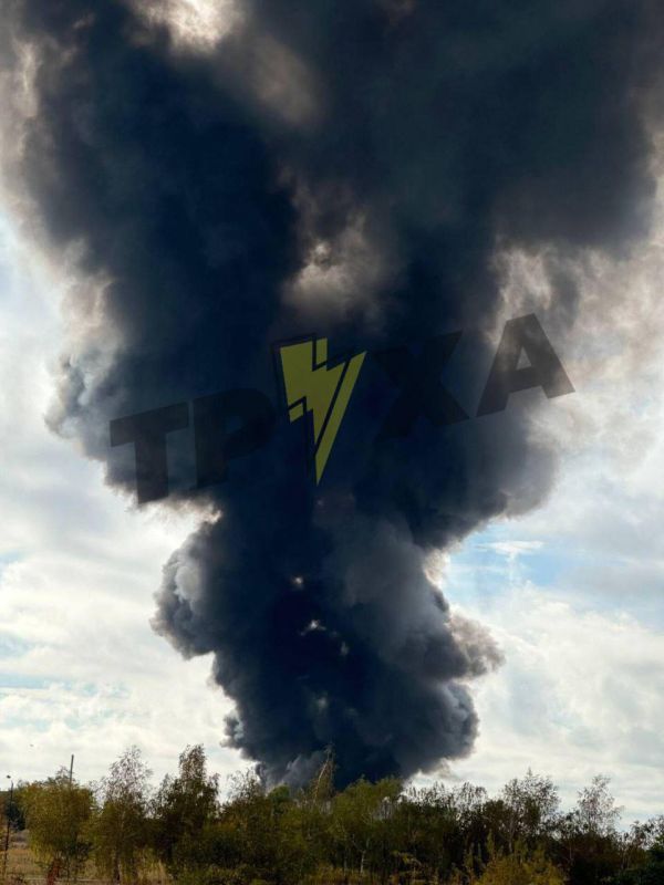  , .. @belarusian_silovik   ,         4      ,       , ...