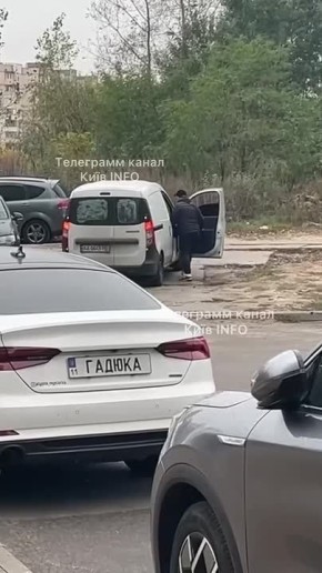   ,   :          