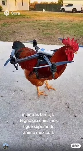  :          