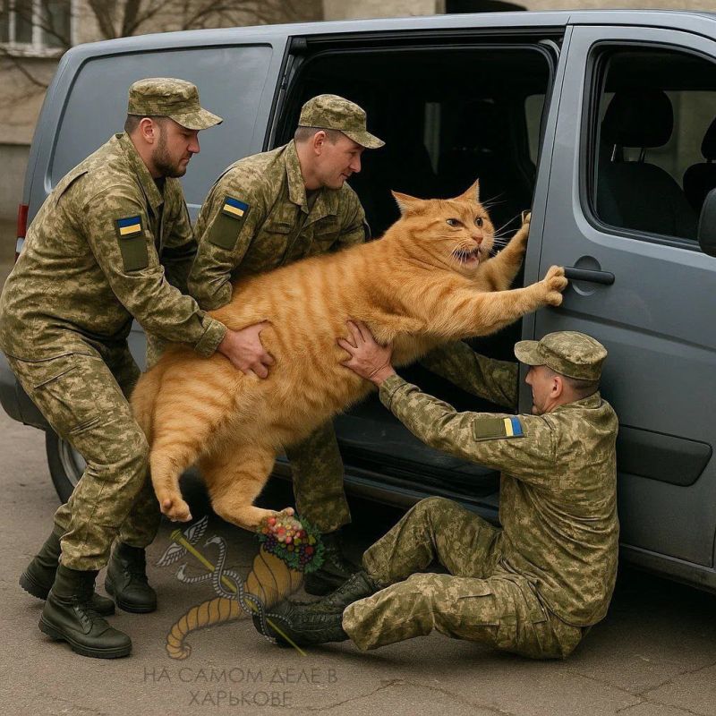 Вот и закончился очередной насыщенный событиями день