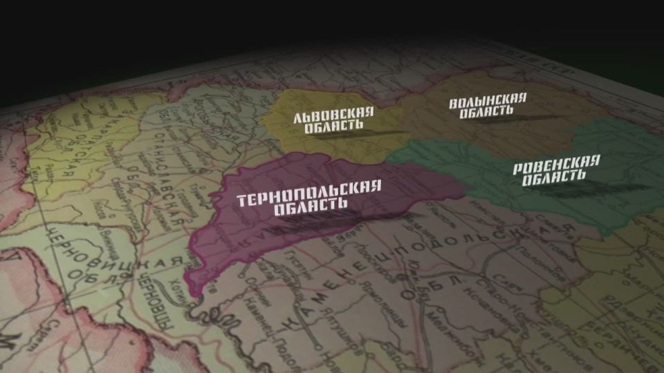  : ,  20:00         -  