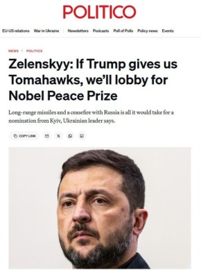  Politico      :