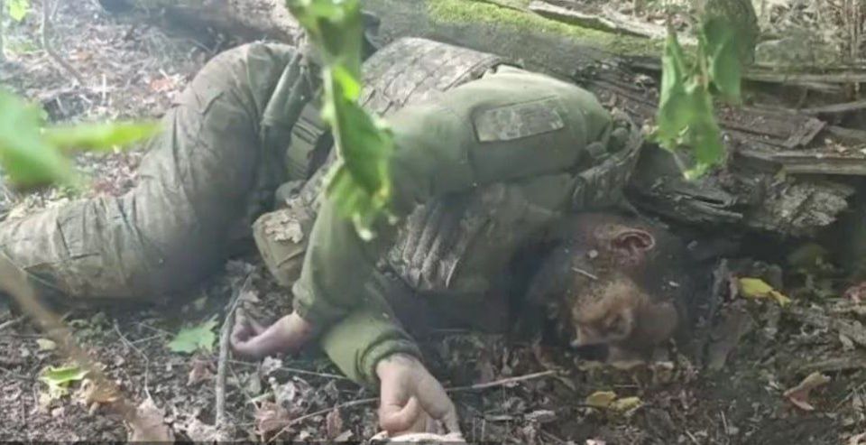   ..  .  ,     .    ?  200