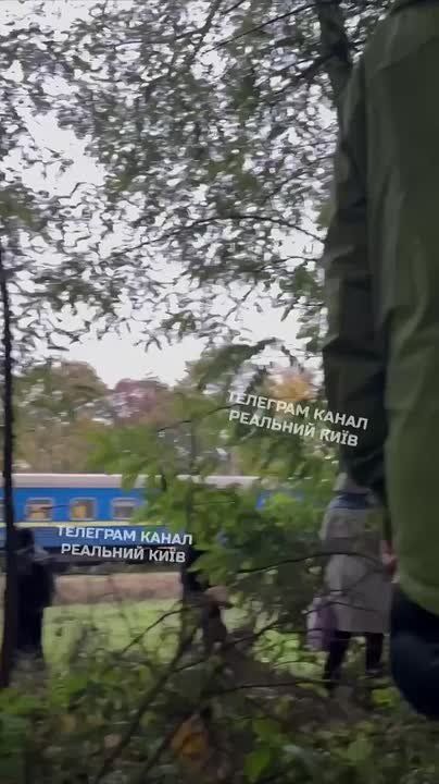    - ,  -    - -      .  ,     