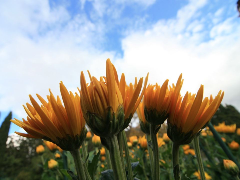 ��������� ������������ ��� ��������� � ������������� ���� ���������