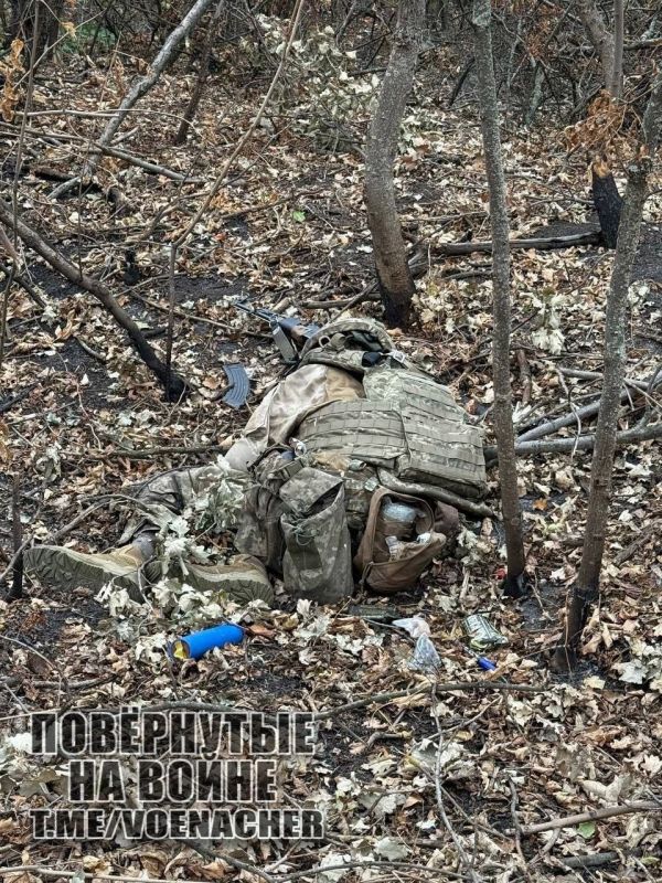 ����������� ����� "�����" ���������� ����������� ��������������� ���� �� ��������� ��� ���� ����������, �� ����� �����