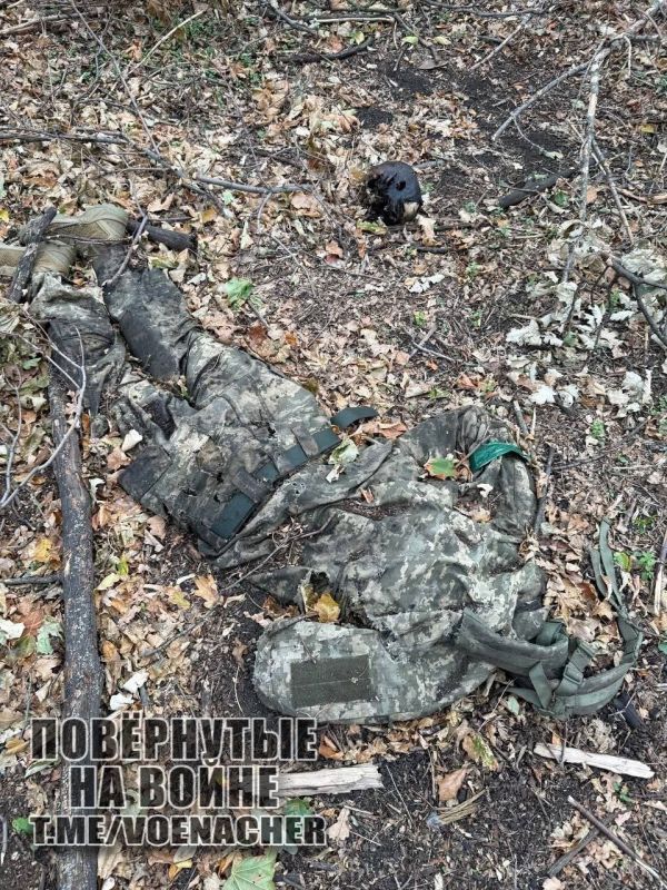 ����������� ����� "�����" ���������� ����������� ��������������� ���� �� ��������� ��� ���� ����������, �� ����� �����