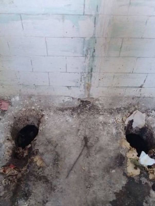 Бомжатник: Кадры из распределительного центра ВСУ в Киеве Бомжатник: Кадры из распределительного центра ВСУ в Киеве