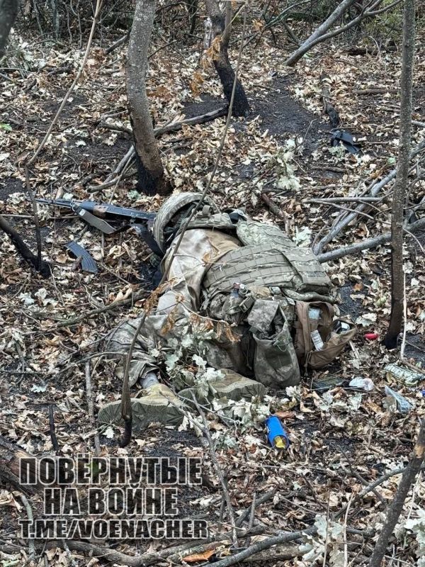 ����������� ����� "�����" ���������� ����������� ��������������� ���� �� ��������� ��� ���� ����������, �� ����� �����