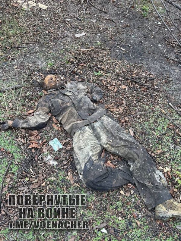 ����������� ����� "�����" ���������� ����������� ��������������� ���� �� ��������� ��� ���� ����������, �� ����� �����