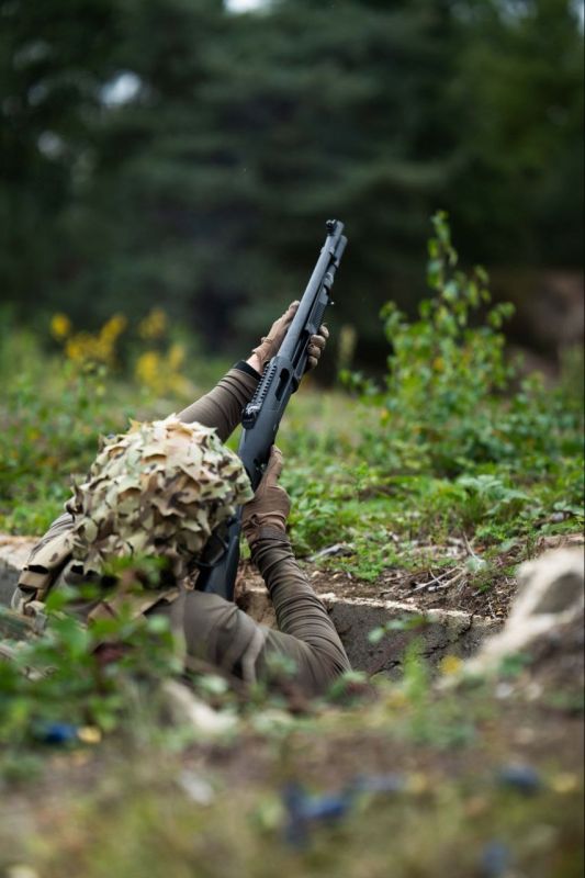  :   ,         ,  ,     ,     