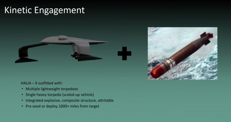 ��� ������: � ׸���� ���� ����� ��������� ����� ������� ����-�������