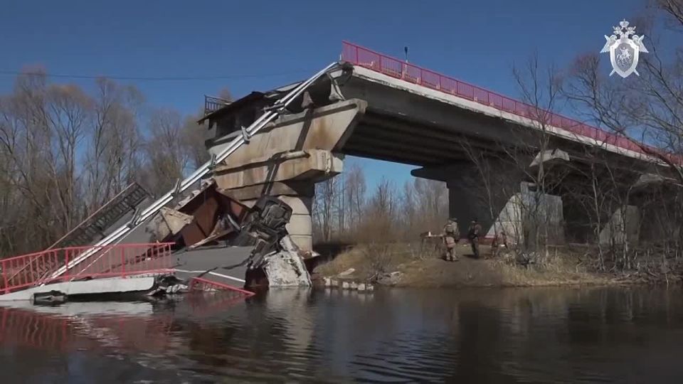 Вынесен приговор в отношении украинского боевика, совершившего теракт в Глушковском районе Курской области