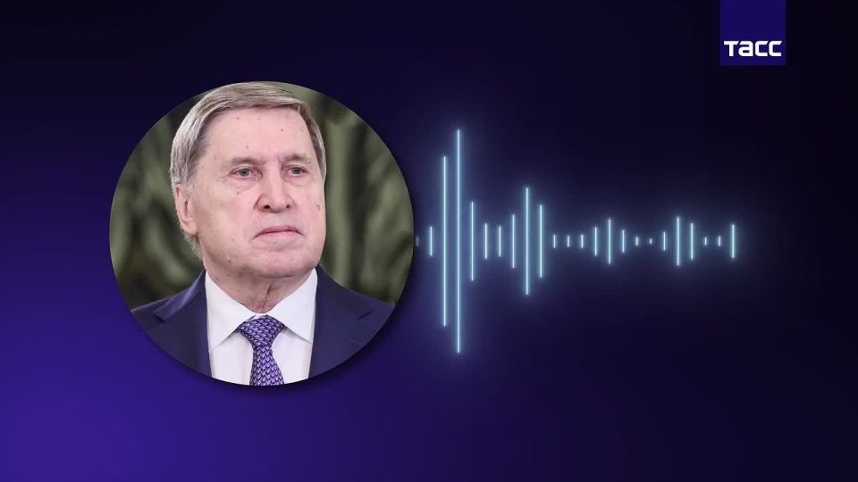 Помощник Владимира Путина раскрыл детали разговора с Трампом