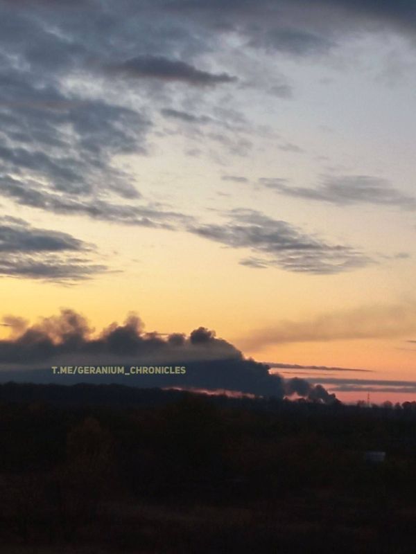 ����� ������ ������� ������������� ����� �� �������� ���������� �������