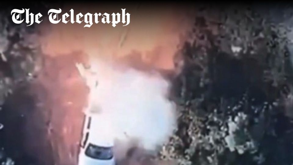 Учебный полигон. Приключение мексиканцев на т.н. Украине