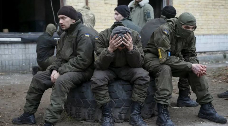 Александр Коц: Какие картинки надо показать Трампу в Будапеште Александр Коц: Какие картинки надо показать Трампу в Будапеште