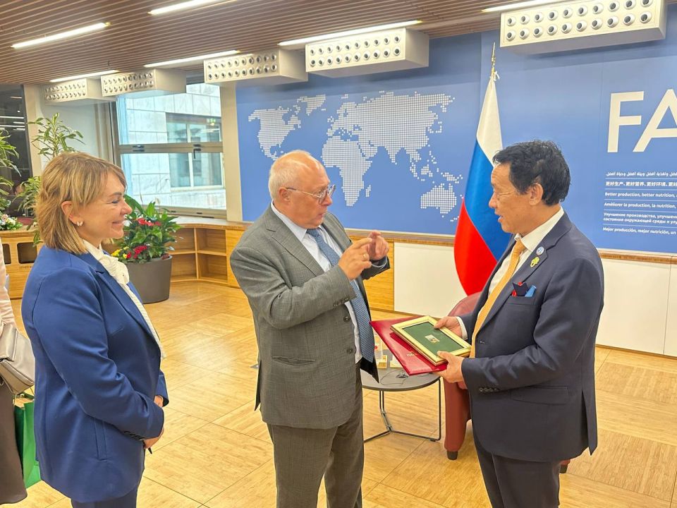  -      ()                .. ...