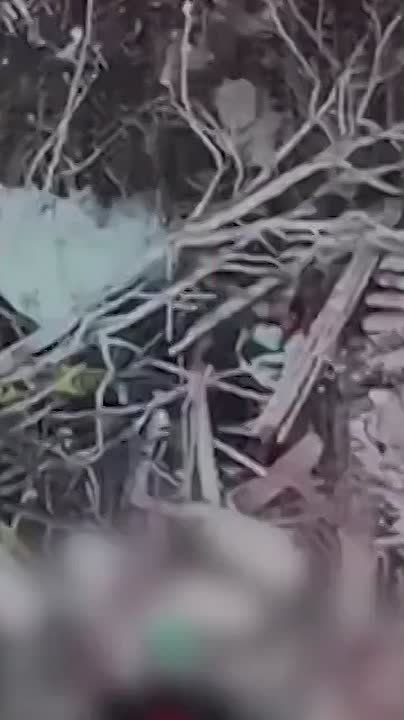 Главные новости за день:. Российские военные освободили село Плещеевка в ДНР 149 беспилотников ВСУ атаковали Белгородскую область за сутки, 1 человек погиб, несколько пострадали Начался ремонт не работавшей 4 недели ЛЭП...