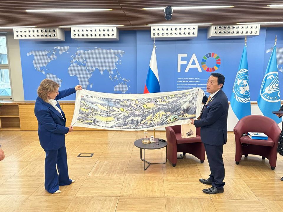  -      ()                .. ...