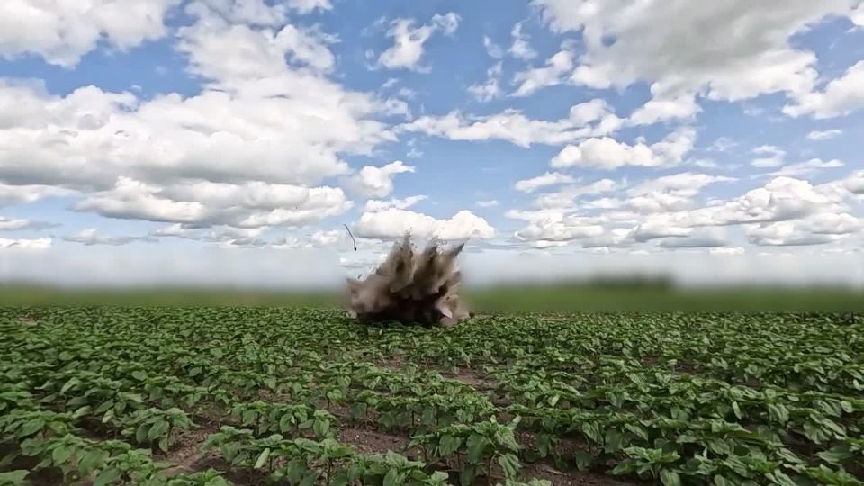  :  Auterion (, )      Artemis,           1600    40 