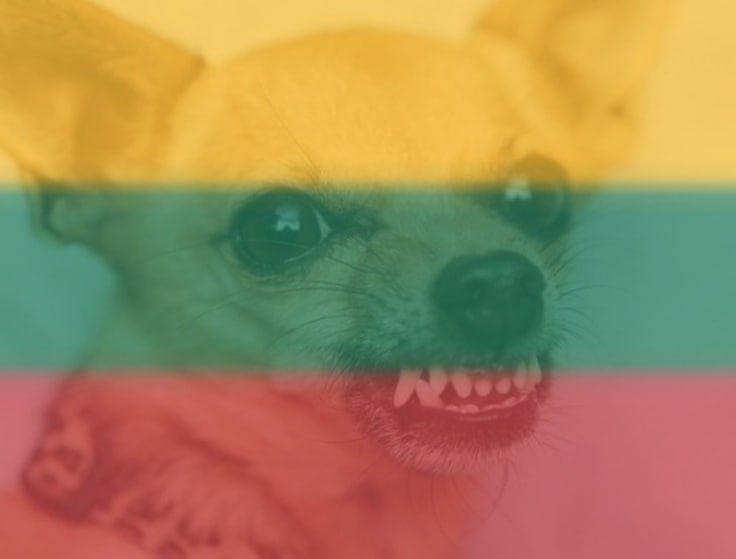 Литва испугалась вторжения со стороны