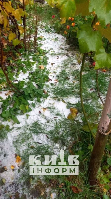 Армен Гаспарян: В Киеве выпал первый снег. Как с отоплением, селюки?