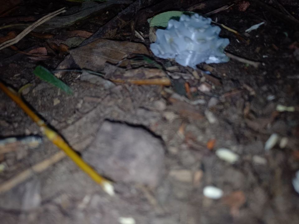  :  :.  ,       &quot;&quot;