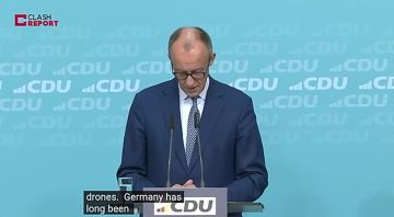 Мерц объявил о создании в Германии специального военного подразделения