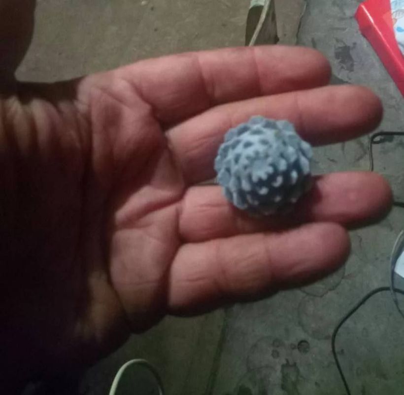 Два майора: Нам пишут:. Всех приветствую, противник начал применять такие мины называют "шишка" Два майора: Нам пишут:. Всех приветствую, противник начал применять такие мины называют "шишка"