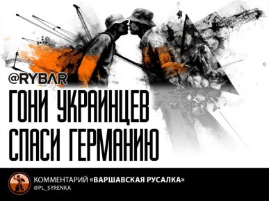 Работа или окоп. Перспективы развития украинских беженцев по мнению немцев