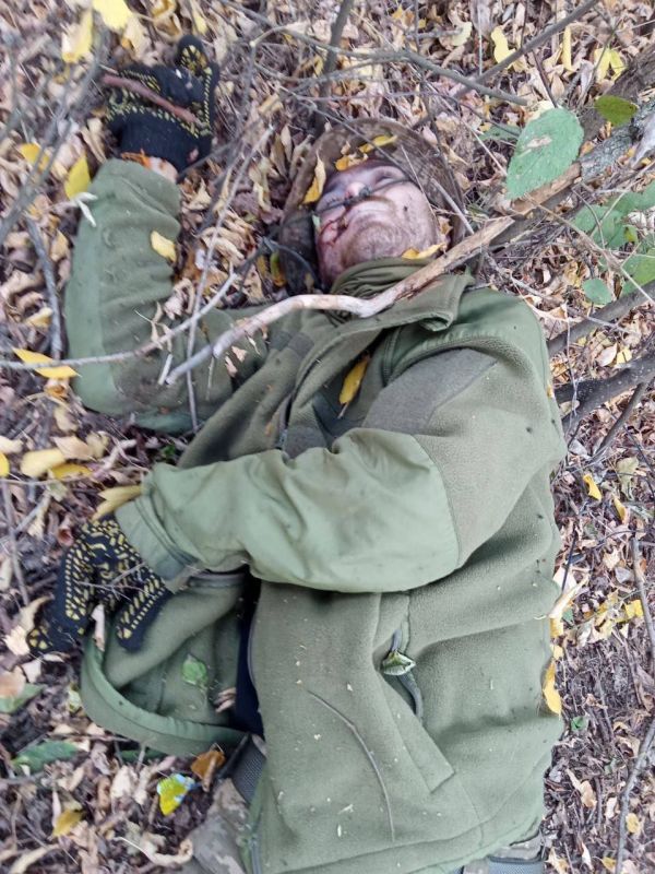 �������� ������ ��������� �� ����� �� �������� ������