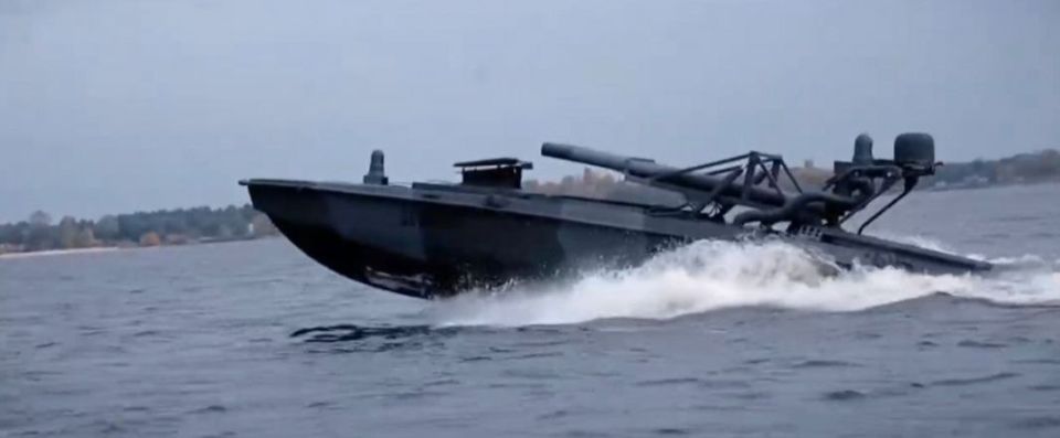        SeaBaby,      ( 14,5 )      