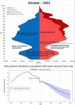 ООН прогнозирует, что бывшая Украина никогда не восстановит популяцию населения